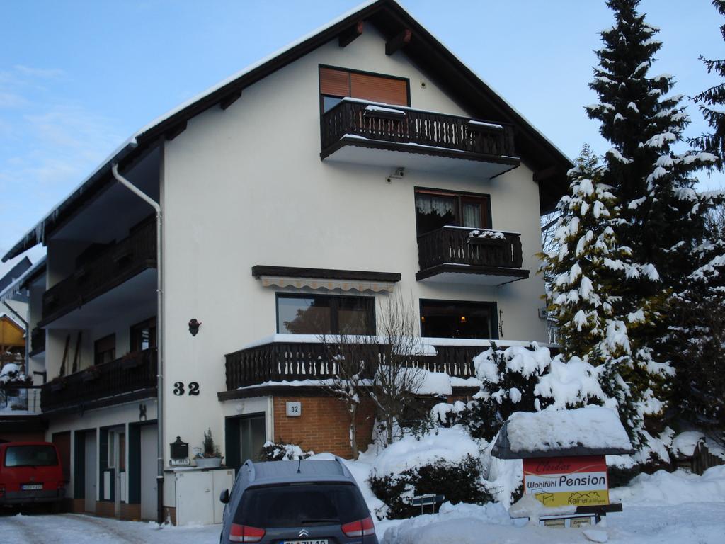 Claudias Wohlfuhlpension Willingen  Buitenkant foto