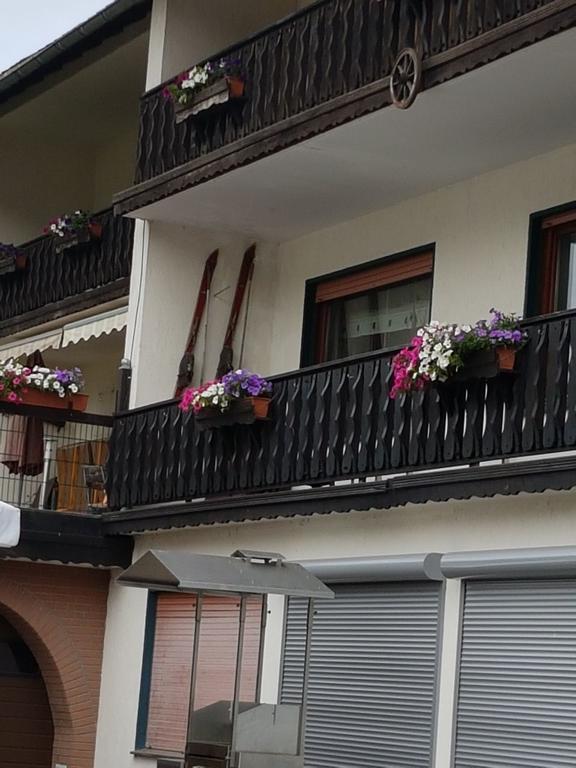 Claudias Wohlfuhlpension Willingen  Buitenkant foto