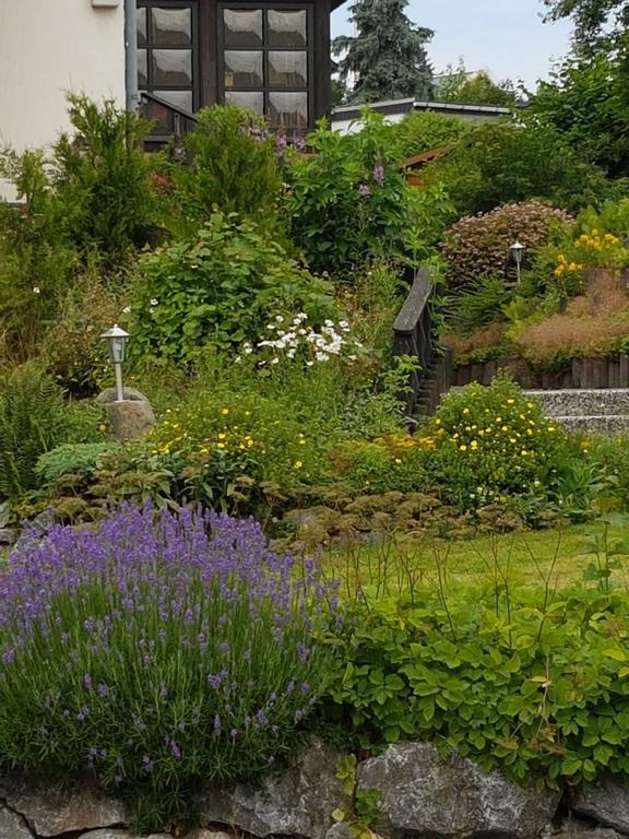 Claudias Wohlfuhlpension Willingen  Buitenkant foto
